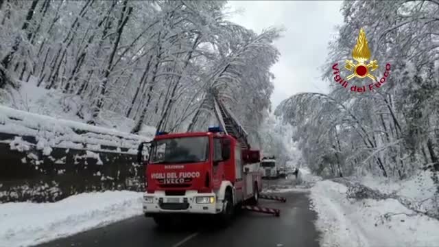 Italia, îngropată în zăpezi, după ce a nins ore în șir. Drumuri blocate și șoferi izolați