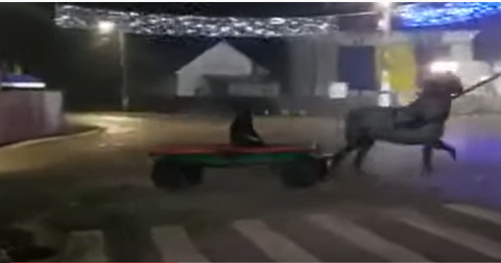 Drifturi cu căruța în centrul unui oraș din România VIDEO