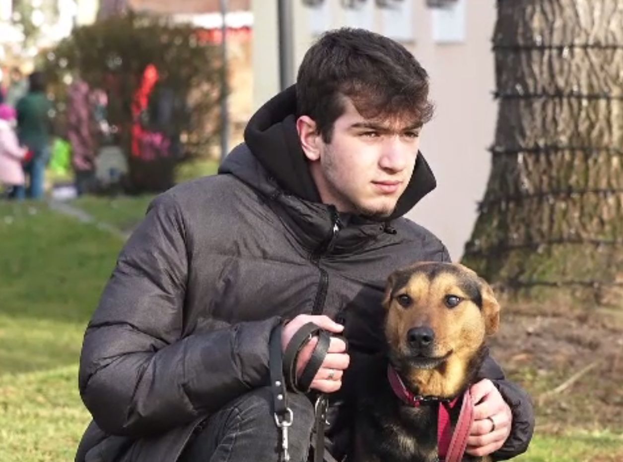 Târg de adopții pentru câini, la Târgu Mureș. Veterinarii spun că metișii se atașează mai repede de oameni