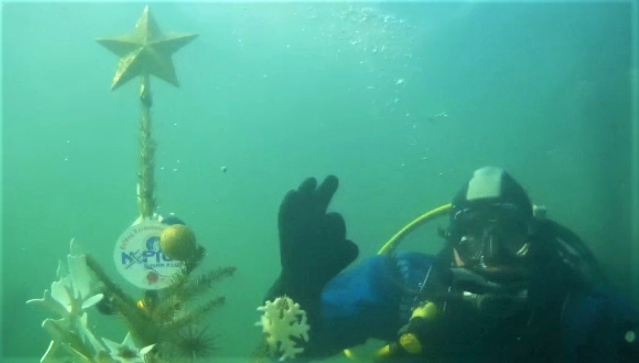 Bradul subacvatic, principala atracție pentru pasionaţii de scufundări din Ungaria