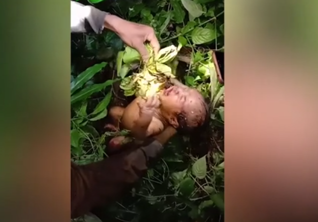 VIDEO O fetiță de doar două zile a supraviețuit ca prin minune, după ce a fost abandonată de mamă într-o pădure