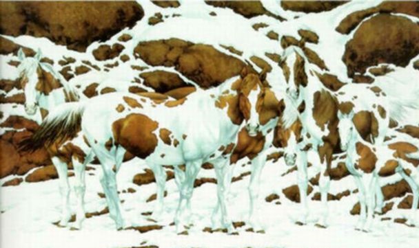 Iluzia optică ce dă bătăi de cap internauților: Câți cai sunt în imagine