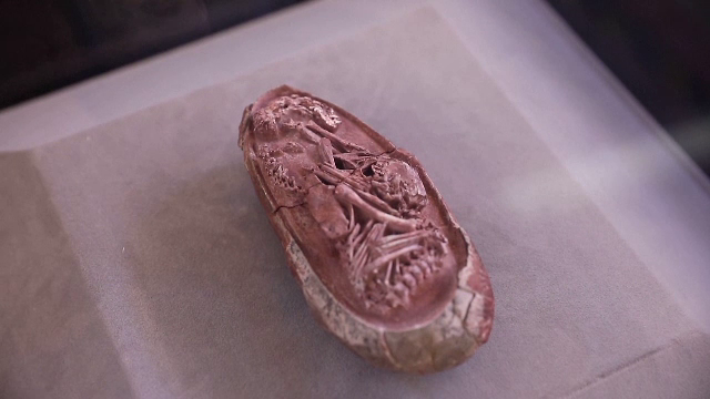 Un embrion de dinozaur perfect conservat, datând de cel puțin 66 de milioane de ani, descoperit în China