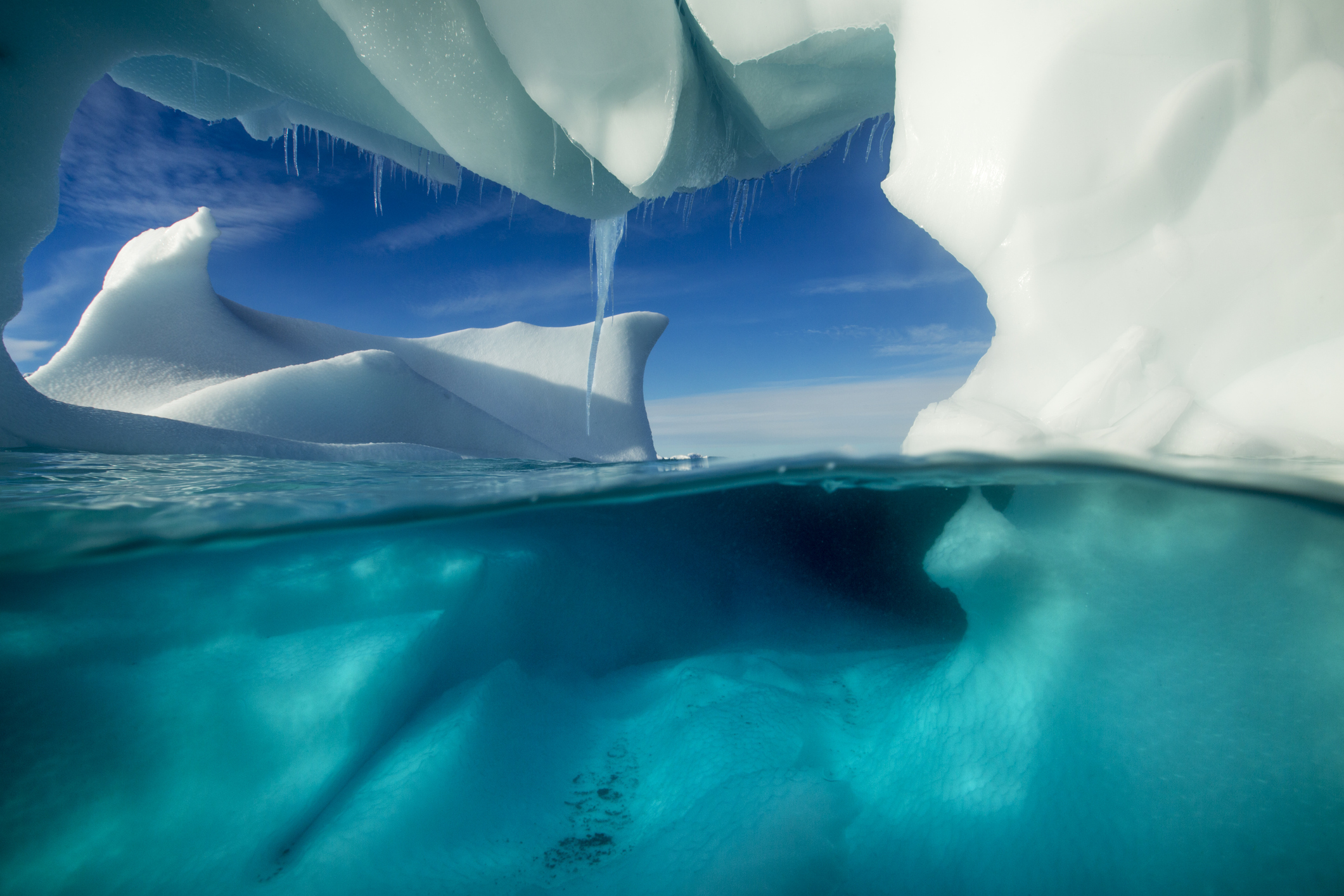 Zeci de forme de viață, descoperite sub calota glaciară antarctică. ”Ar putea fi cel mai netulburat habitat de pe Pământ”