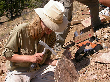 Fosile ale unor mamifere de acum 10 milioane de ani, descoperite in judetul Vaslui