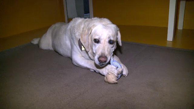 Stiri medias pagina 1 din 2 - Stirileprotv.ro