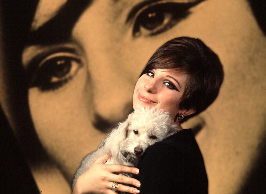 Barbra Streisand şi-a clonat câinele în două exemplare. Cum le deosebeşte