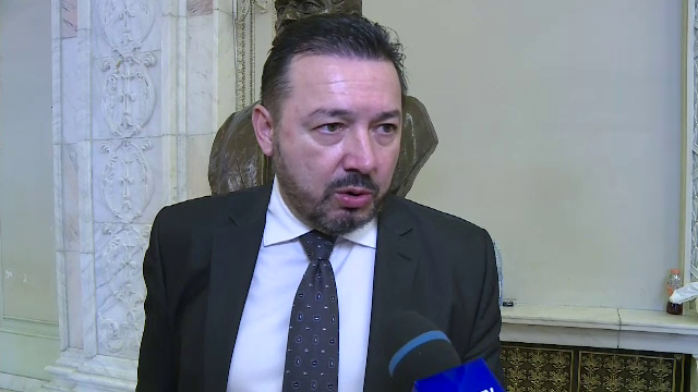 Deputatul PSD Rădulescu: PSD nu împărtăşeşte opinia Anei Birchall privind Secția Specială