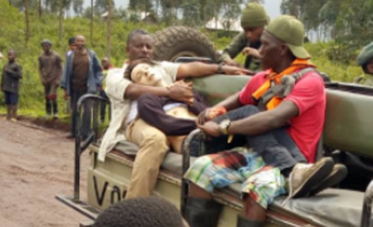 Ambasadorul Italiei în Republica Democratică Congo, ucis într-un atac armat vizând un convoi PAM în estul ţării - Imaginea 2