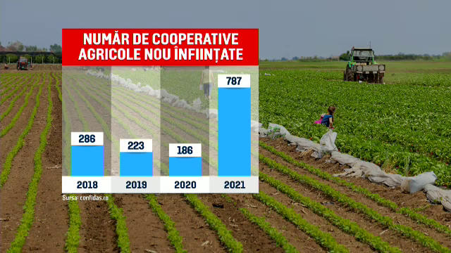Fermierii români încep să se asocieze în număr mare în cooperative agricole. Care sunt avantajele
