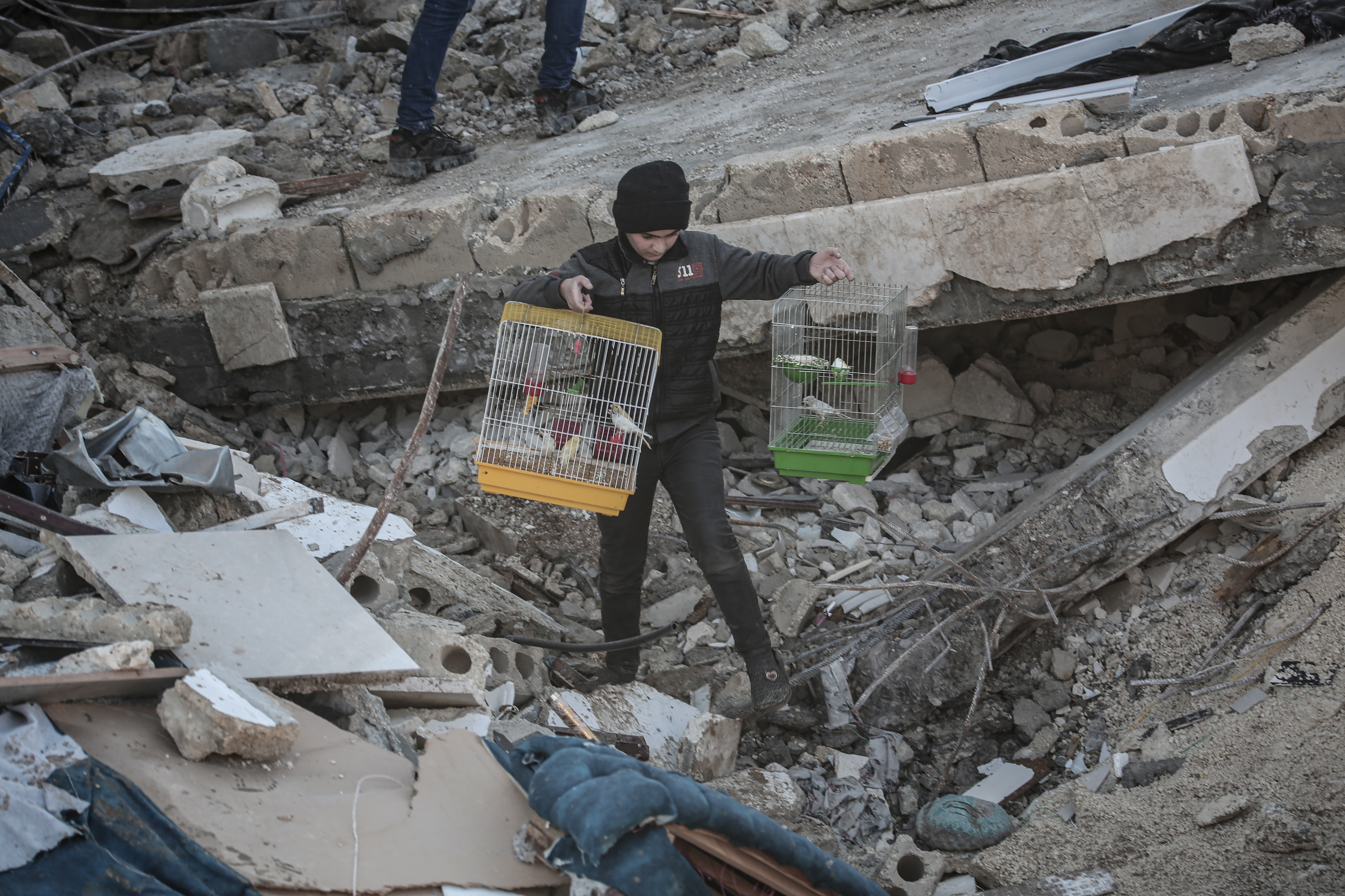 Imagini impresionante cu zeci de animale care au fost scoase de sub dărâmături, în urma cutremurelor devastatoare din Turcia - Imaginea 3