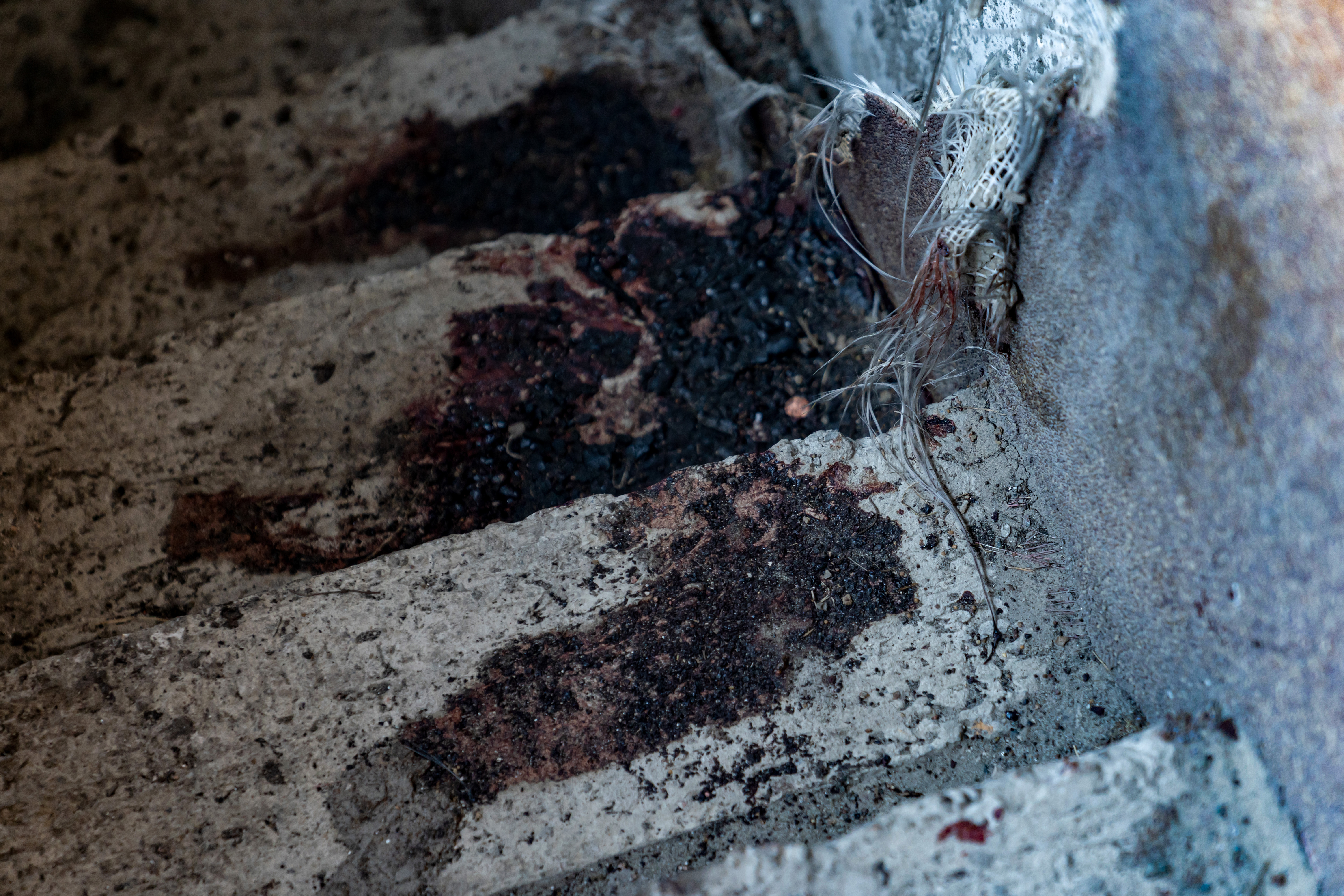 Un an de lacrimi și de moarte în Ucraina | Bucea, masacrul care nu va fi uitat niciodată | GALERIE FOTO - Imaginea 36