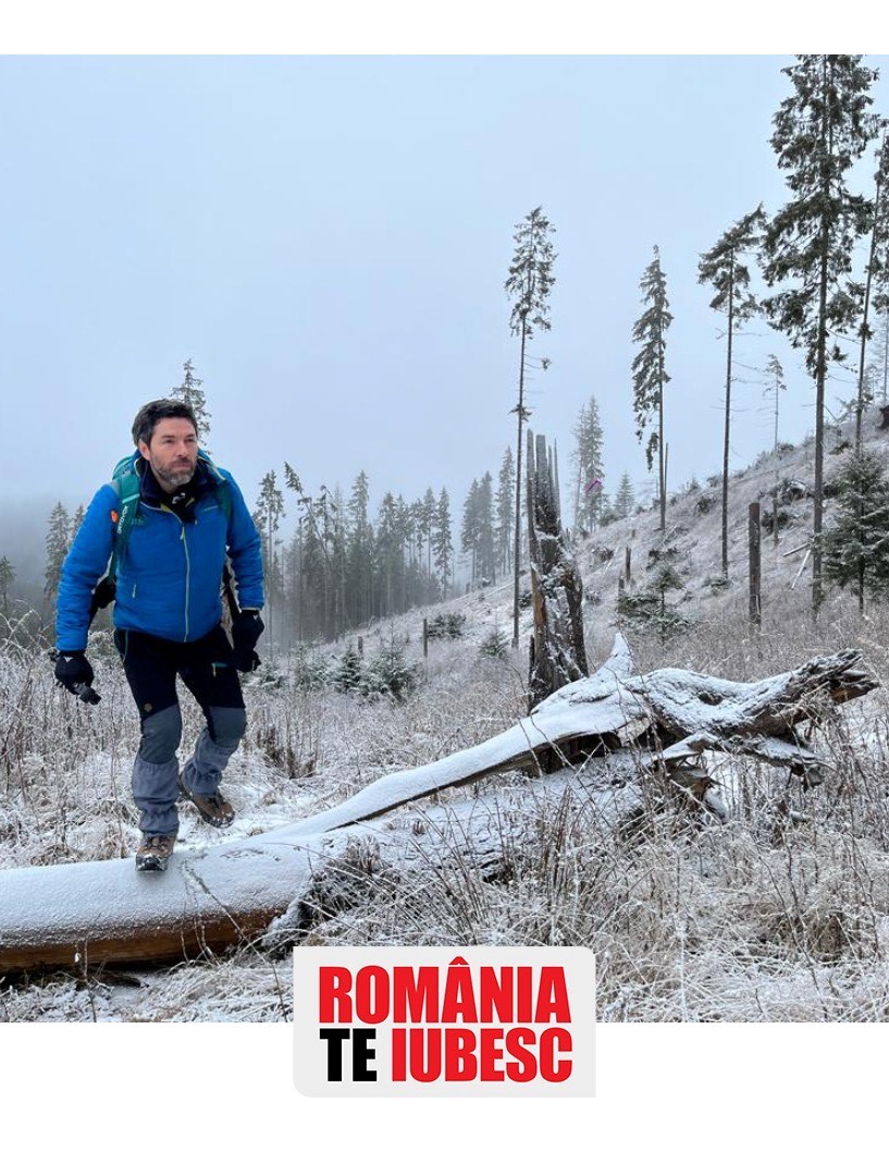 Ne-au măcelărit pădurile și nimeni nu răspunde! Hoție ca în codru, o anchetă semnată de Alex Dima, la România, te iubesc! - Imaginea 1