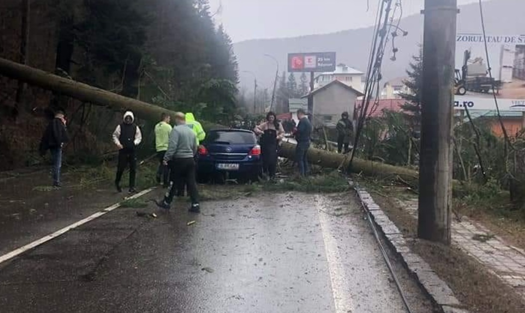 Un brad a căzut peste o mașină pe DN 1, la Azuga. Cum arată mașina după incident. GALERIE FOTO - Imaginea 1