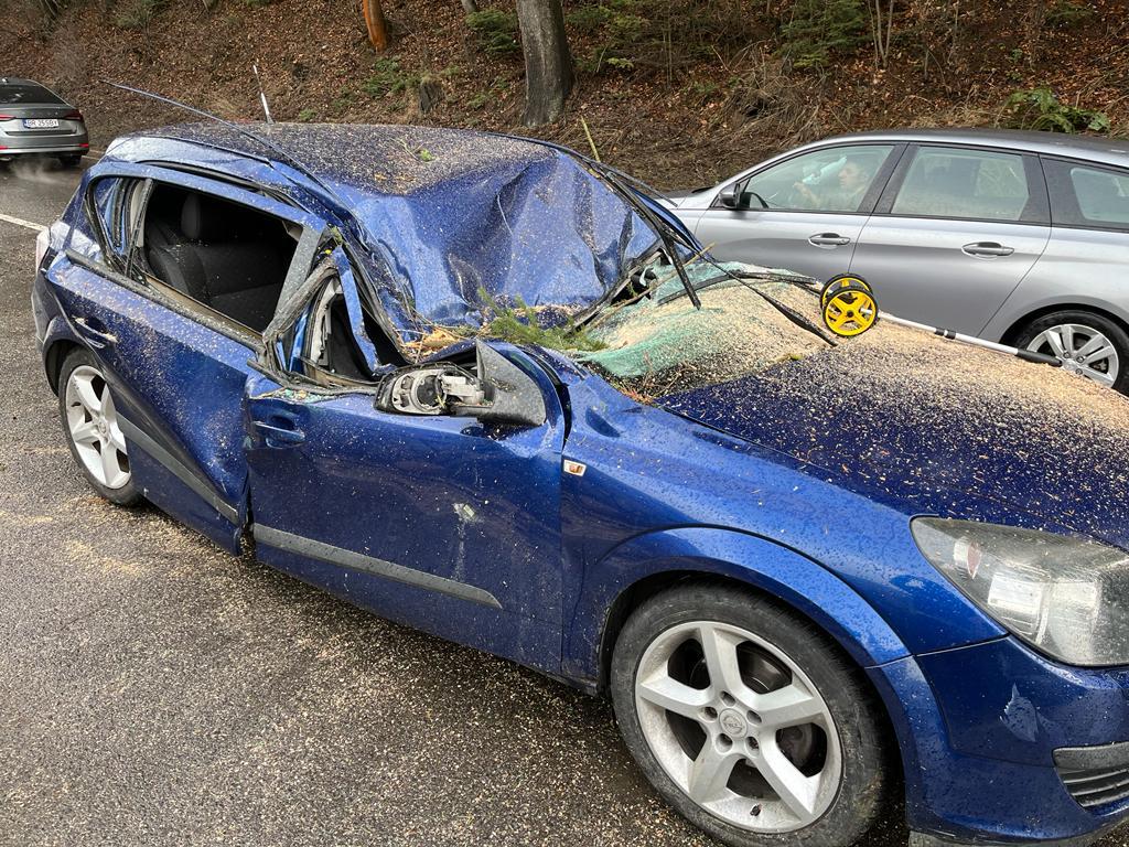 Un brad a căzut peste o mașină pe DN 1, la Azuga. Cum arată mașina după incident. GALERIE FOTO - Imaginea 6