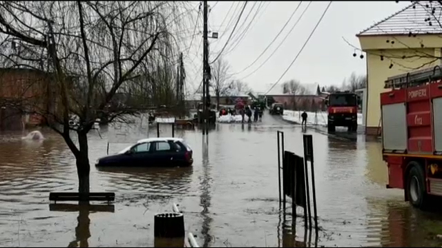 Cod roșu de inundații pe râul Bega: A fost emis mesaj RO-Alert. Zeci de elevi au fost evacuați de la ore - Imaginea 6