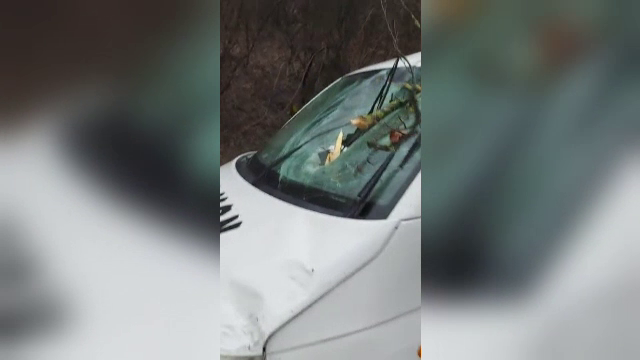 Un copac a căzut peste o mașină și crengile au intrat prin parbriz, în Sighișoara. În ce stare este șoferul. GALERIE FOTO - Imaginea 7