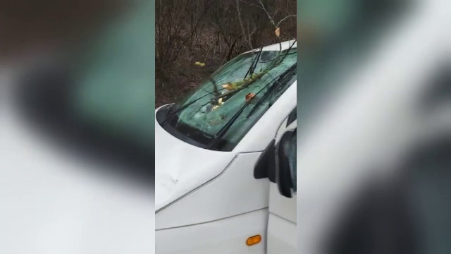 Un copac a căzut peste o mașină și crengile au intrat prin parbriz, în Sighișoara. În ce stare este șoferul. GALERIE FOTO - Imaginea 9