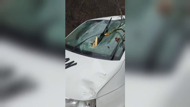 Un copac a căzut peste o mașină și crengile au intrat prin parbriz, în Sighișoara. În ce stare este șoferul. GALERIE FOTO - Imaginea 10