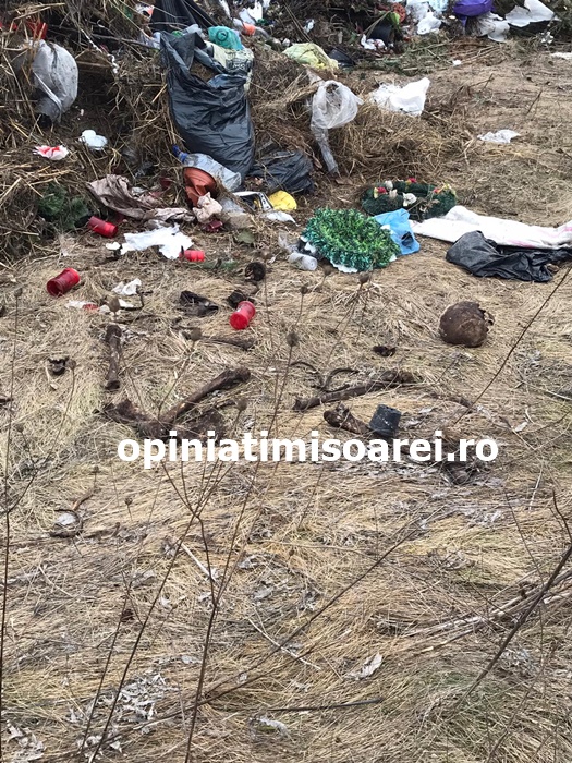 Descoperire înfiorătoare făcută de autorități pe un câmp de la ieșirea din Timișoara - Imaginea 1