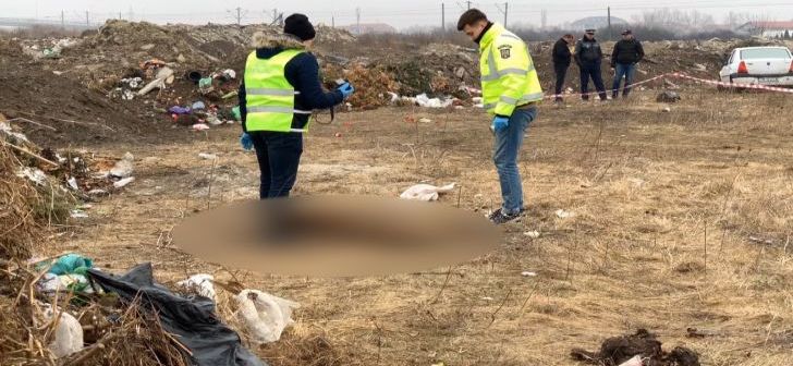 Descoperire înfiorătoare făcută de autorități pe un câmp de la ieșirea din Timișoara - Imaginea 2