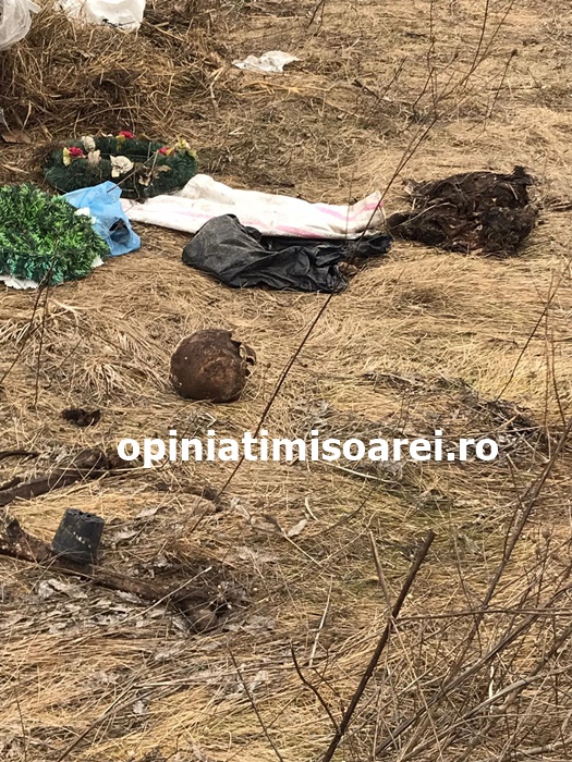 Descoperire înfiorătoare făcută de autorități pe un câmp de la ieșirea din Timișoara - Imaginea 3