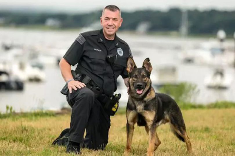 Un polițist și-a împușcat câinele de patrulă, la o intervenție de urgență. Ce s-a întâmplat