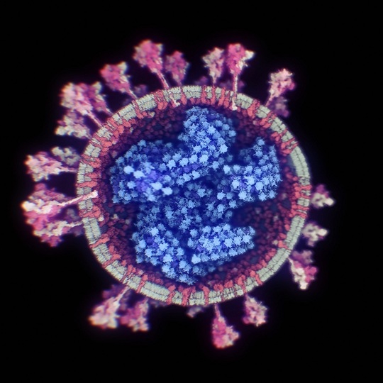 Cercetătorii au reuşit să facă prima fotografie 3D a coronavirusului - FOTO - Imaginea 1