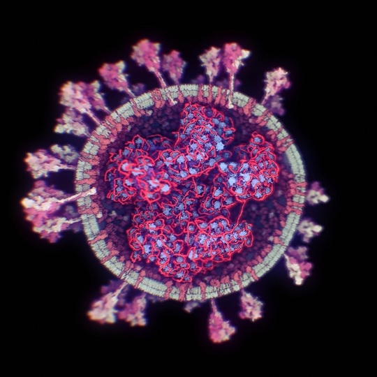Cercetătorii au reuşit să facă prima fotografie 3D a coronavirusului - FOTO - Imaginea 2