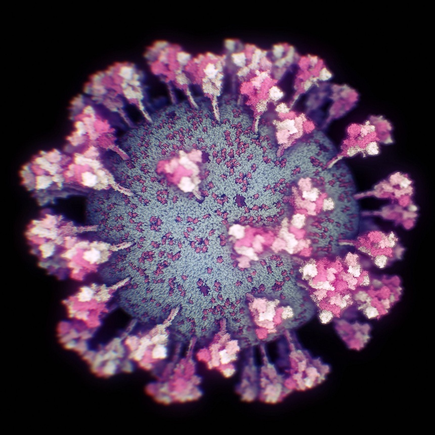 Cercetătorii au reuşit să facă prima fotografie 3D a coronavirusului - FOTO - Imaginea 3