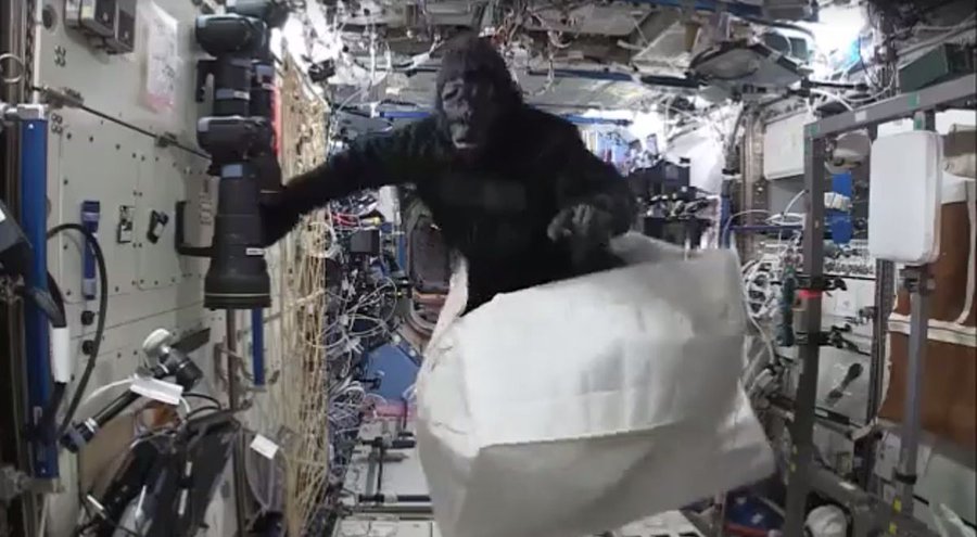Video. Astronautul Scott Kelly își sperie un coleg de pe Stația Spațială Internațională într-un costum de gorilă