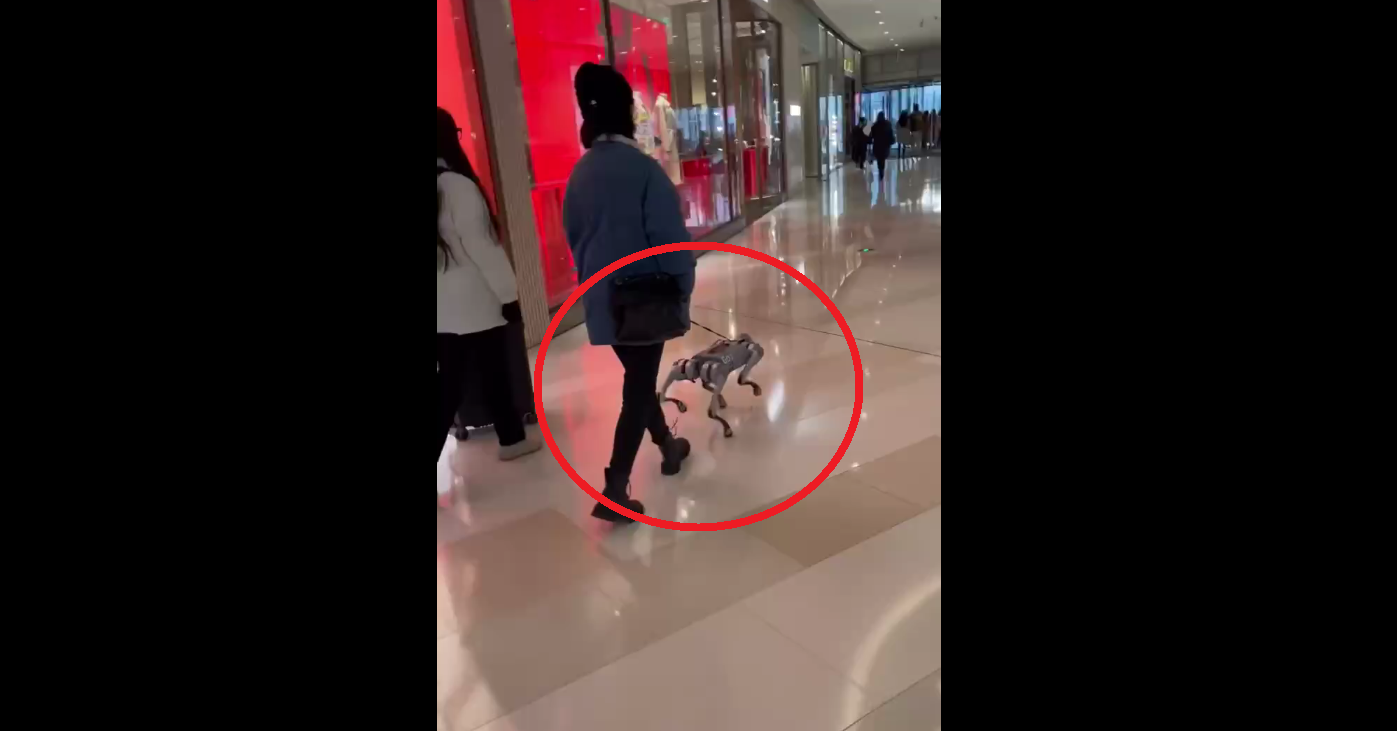 VIDEO bizar. O femeie se plimbă cu ”câinele-robot” în lesă, la cumpărături într-un mall
