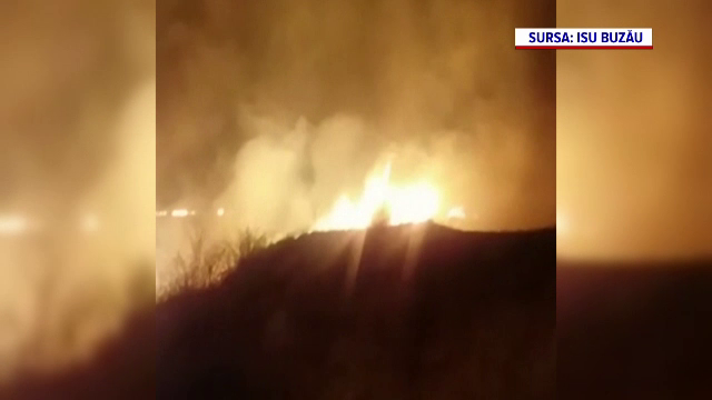 Zeci de hectare de vegetație din Buzău au fost mistuite de flăcări