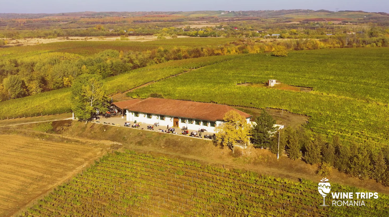 Wine Trips România. Vinarte, locul unde a luat naștere vinul românesc modern