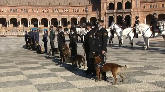 Iubitorii de animale și necuvântătoarele lor au făcut coadă în fața bisericii din Sevilla. Care a fost motivul