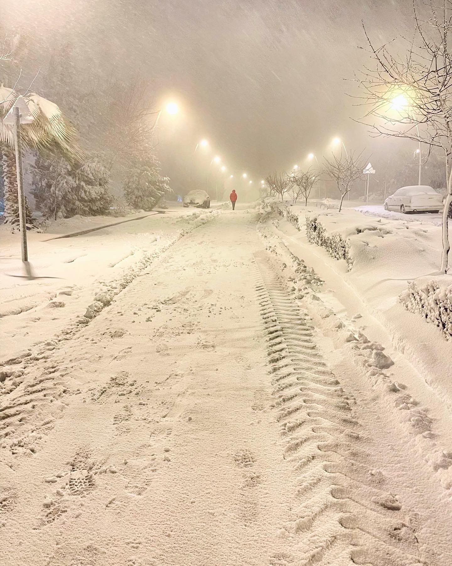 Fenomen rar în Israel: Zăpada a acoperit străzile din Ierusalim şi Cisiordania. FOTO și VIDEO