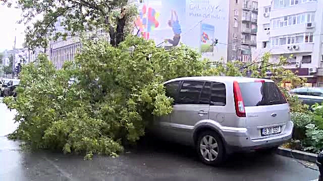 20 de copaci si un stalp de electricitate, doborati de furtuna din Bucuresti. 5 masini, avariate