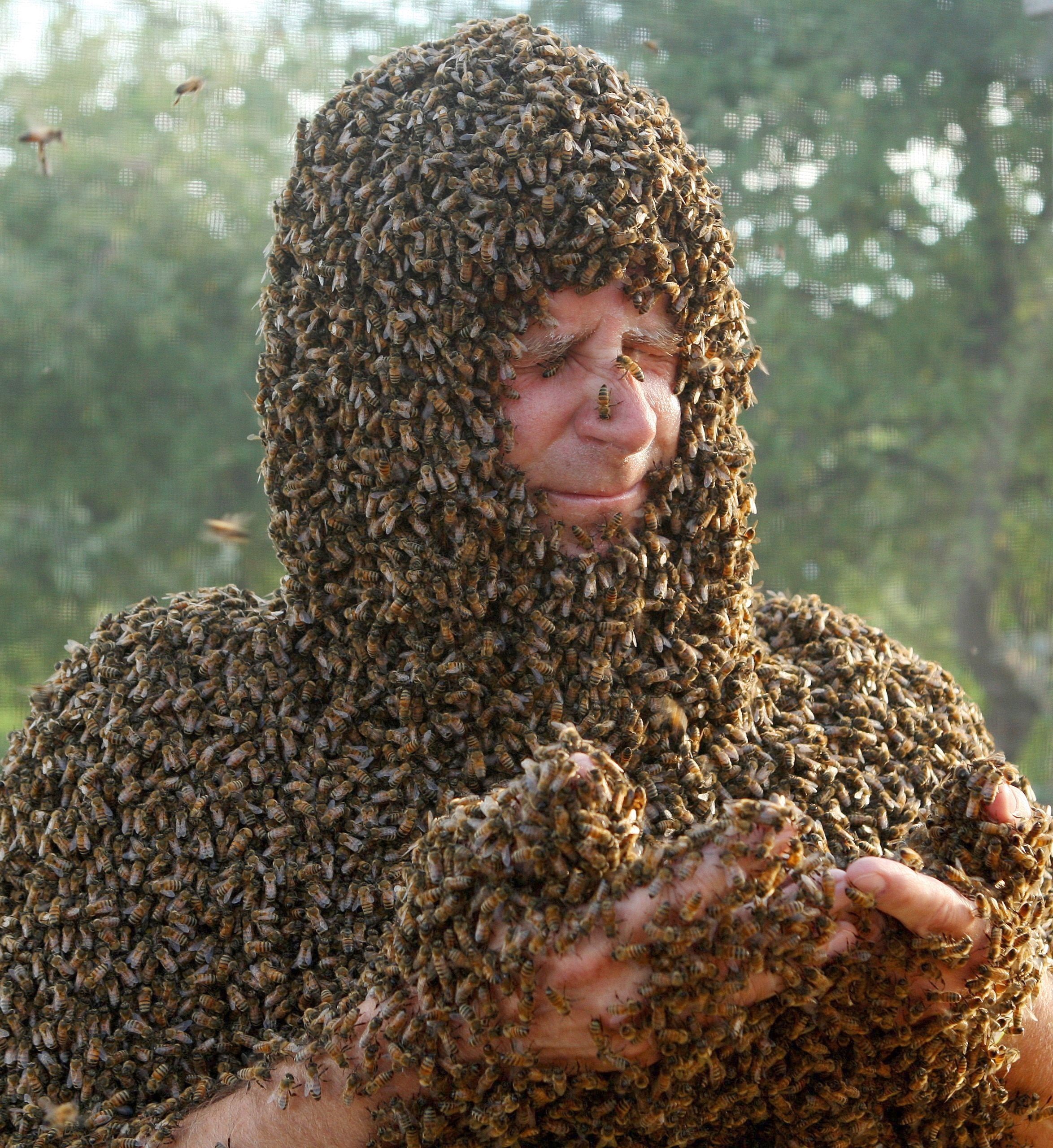 Concursul interzis celor slabi de inima. Ce s-a intamplat cu acest barbat dupa ce s-a lasat acoperit de sute de mii de albine - Imaginea 2