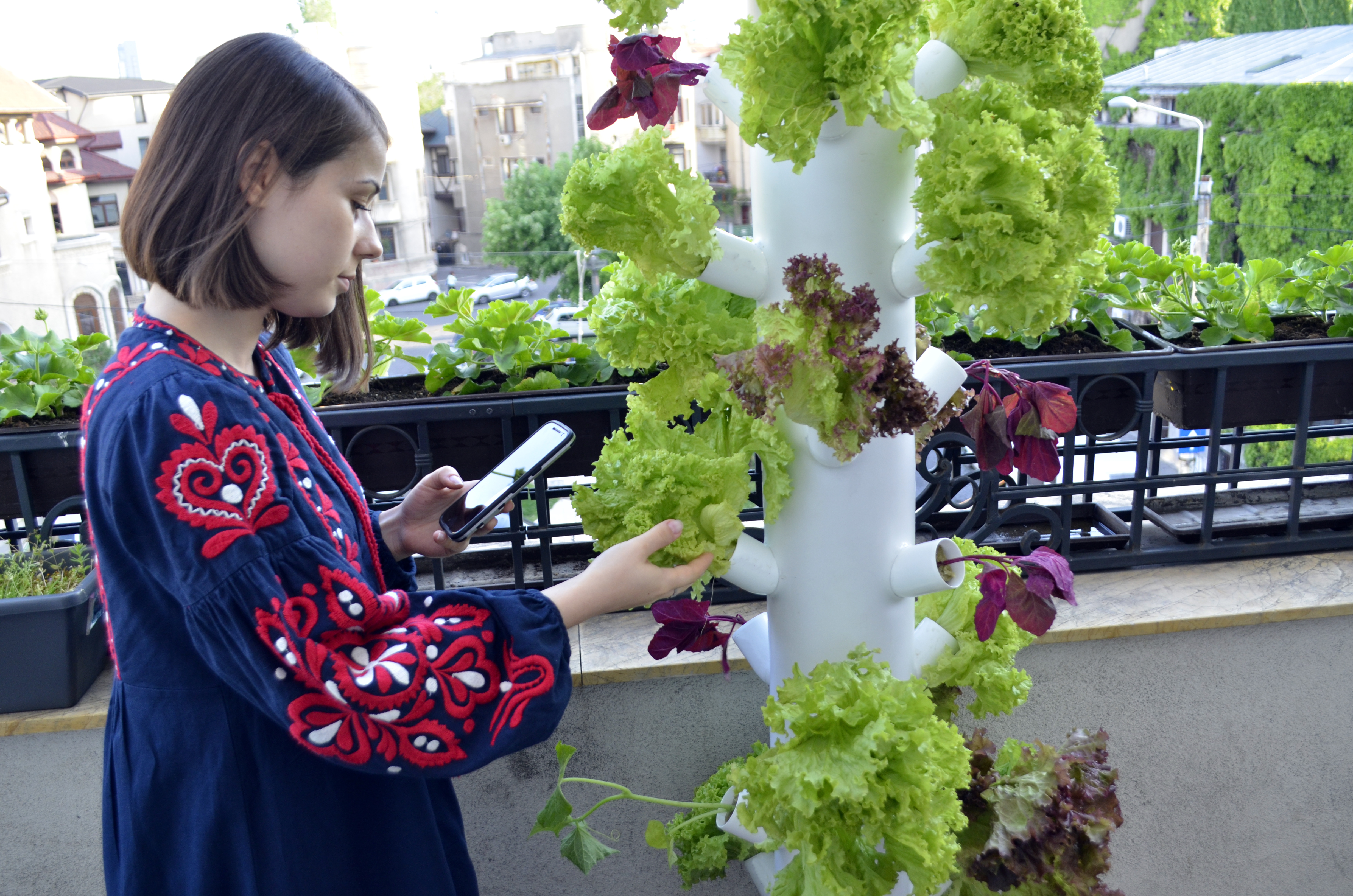 iLikeIT. Cativa studenti romani au creat un gadget pentru cresterea plantelor in apartament. Ce stie sa faca Urban Gardener