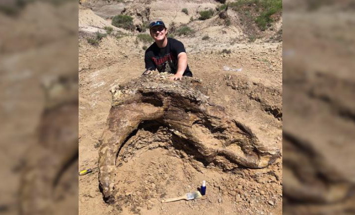 Craniu de dinozaur, vechi de 65 de milioane de ani, găsit de un student. Locul este ”secret”