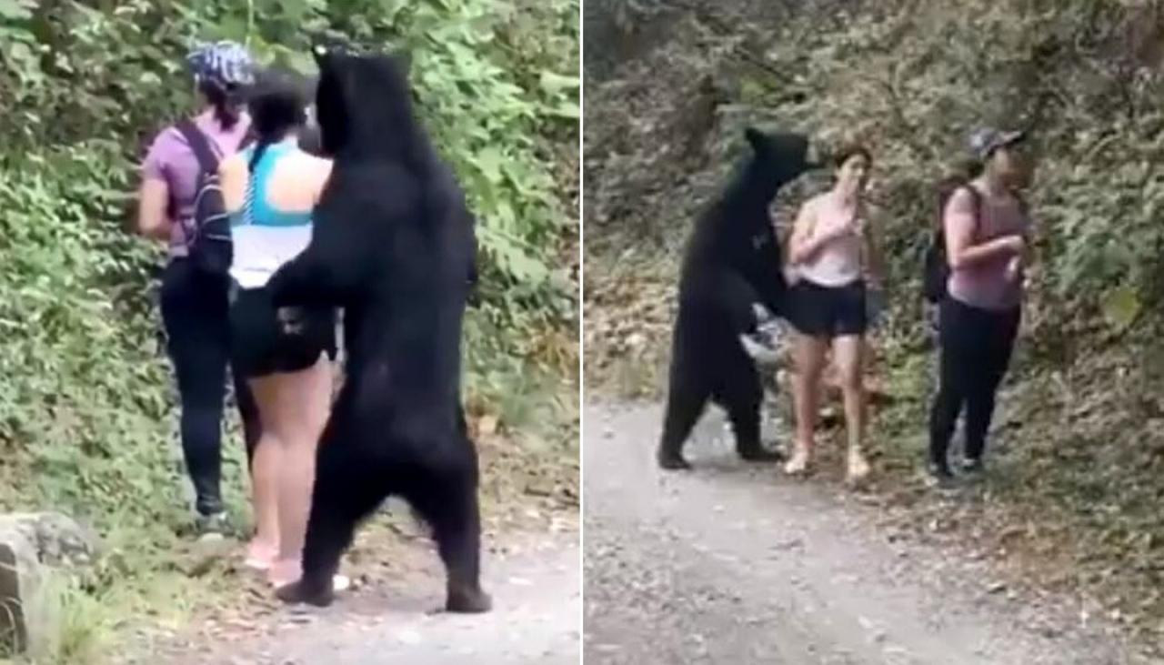 VIDEO. Trei turiste, prinse de un urs. Una dintre ele a făcut un selfie