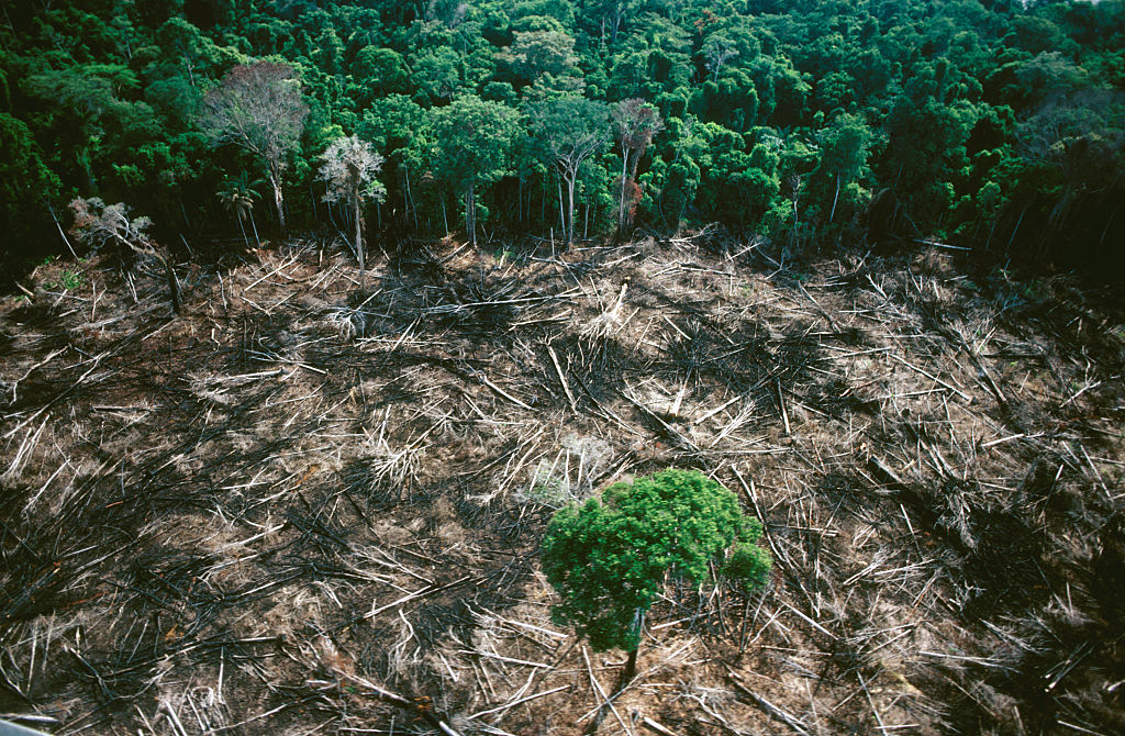 Pădurea amazoniană a ajuns să producă CO2, în loc să-l absoarbă, din cauza intervenției umane