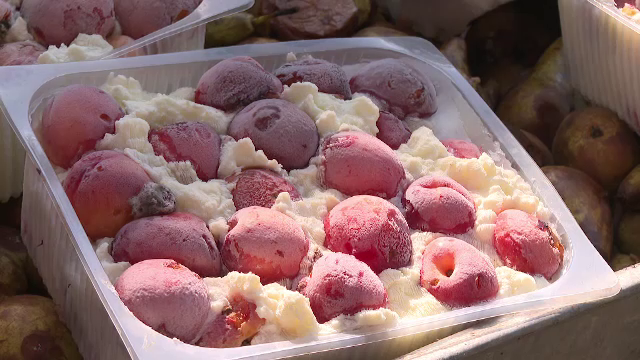 Animalele de la Zoo Galați primesc înghețată și fructe reci pentru a suporta mai bine canicula