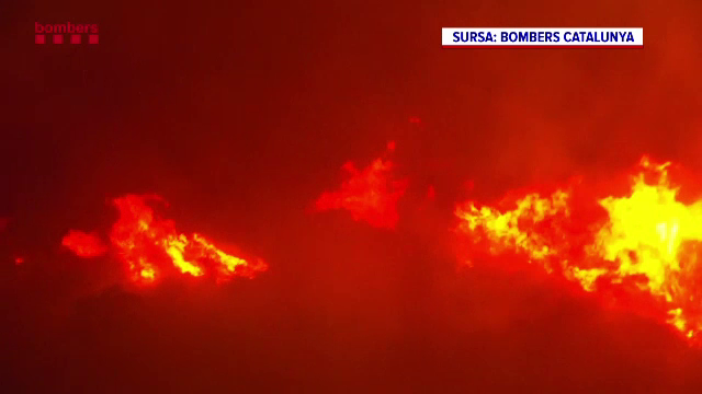 Incendii de vegetație în Spania. În Catalonia au ars peste 400 de hectare de Parc Național