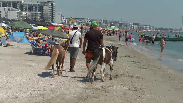 Pe litoral, polițiștii au salvat doi ponei chinuiți, târâți de doi indivizi prin soare, pentru a face bani