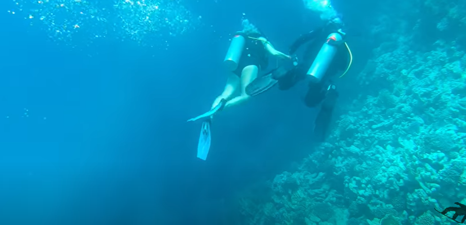 Români la scuba diving și snorkeling în Hurghada, Egipt - VIDEO