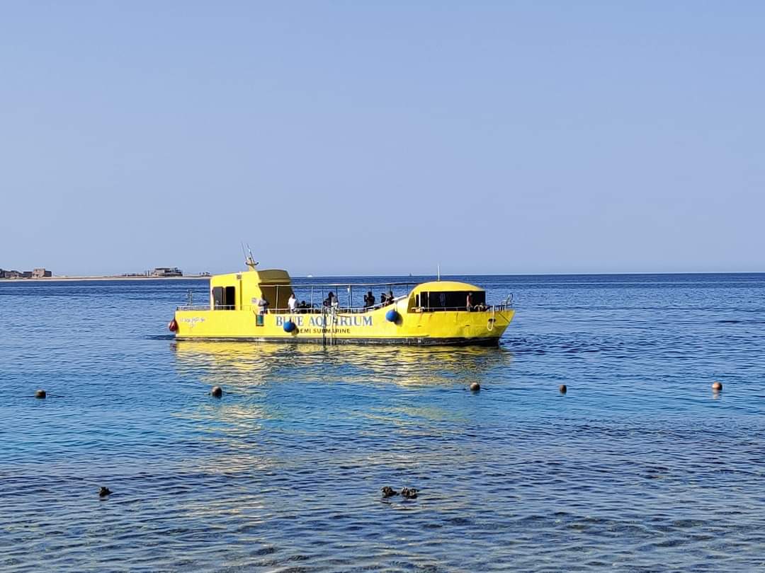 Unele plaje din stațiunea egipteană Hurghada au fost redeschise. Turiștii spun că în zonă sunt în continuare rechini. FOTO - Imaginea 5
