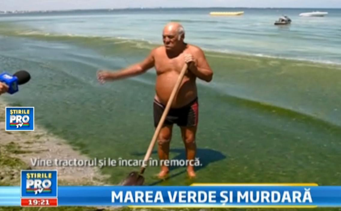 20.000 de turisti vor face baie printre alge la Mamaia. Se intoarce 