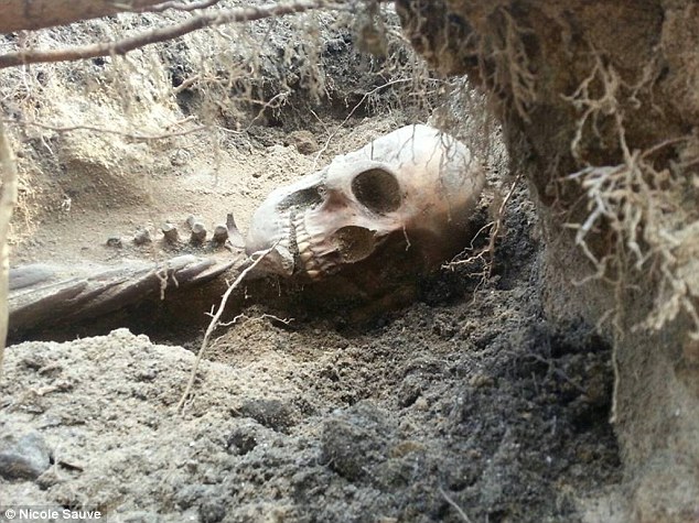 Schelete umane descoperite de muncitorii Apa Nova pe Soseaua Cotroceni din Bucuresti