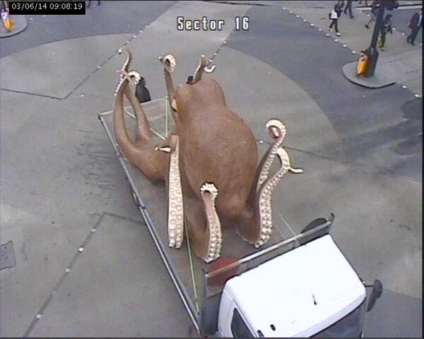 O caracatita gigant a blocat traficul din centrul Londrei. Cum s-a ajuns in aceasta situatie